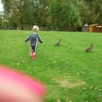 Hana chasing ducks