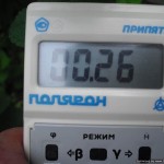 Geiger Counter in the garden