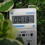Radiation level in  flower bed
